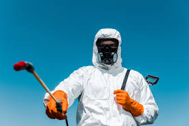 Best Real Estate Pest Inspections  in Stratmoor, CO